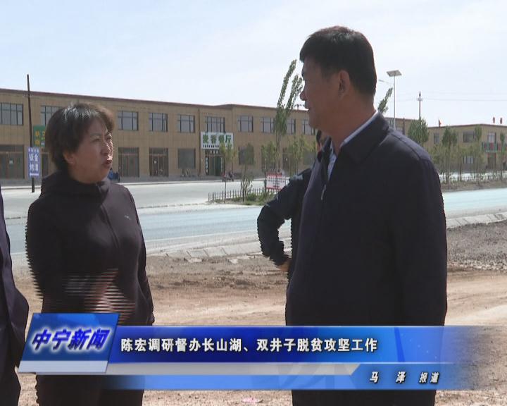 陈宏调研督办长山湖,双井子脱贫攻坚工作_中宁县人民