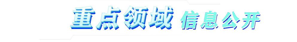 重点领域信息公开